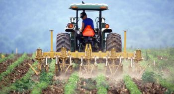 Subsidies voor jonge landbouwers: Nieuwe Kansen in 2025